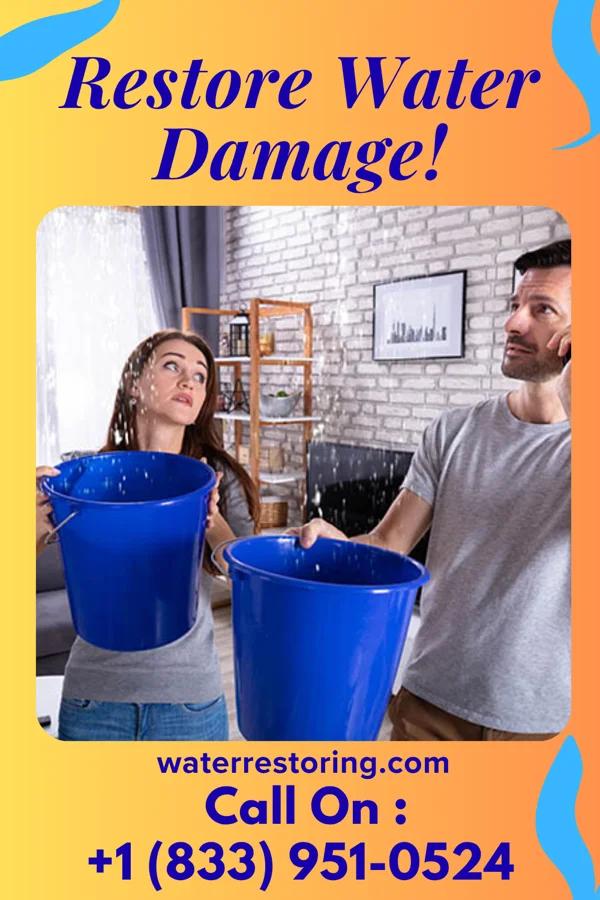 water restoration Victory Water Damage Services Lake View