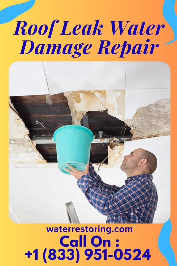 Roof Leak Water Damage Repair in Lake View, SC