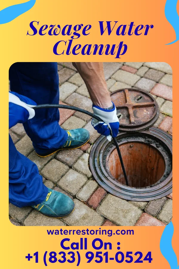Sewage Water Cleanup in Lake View, SC